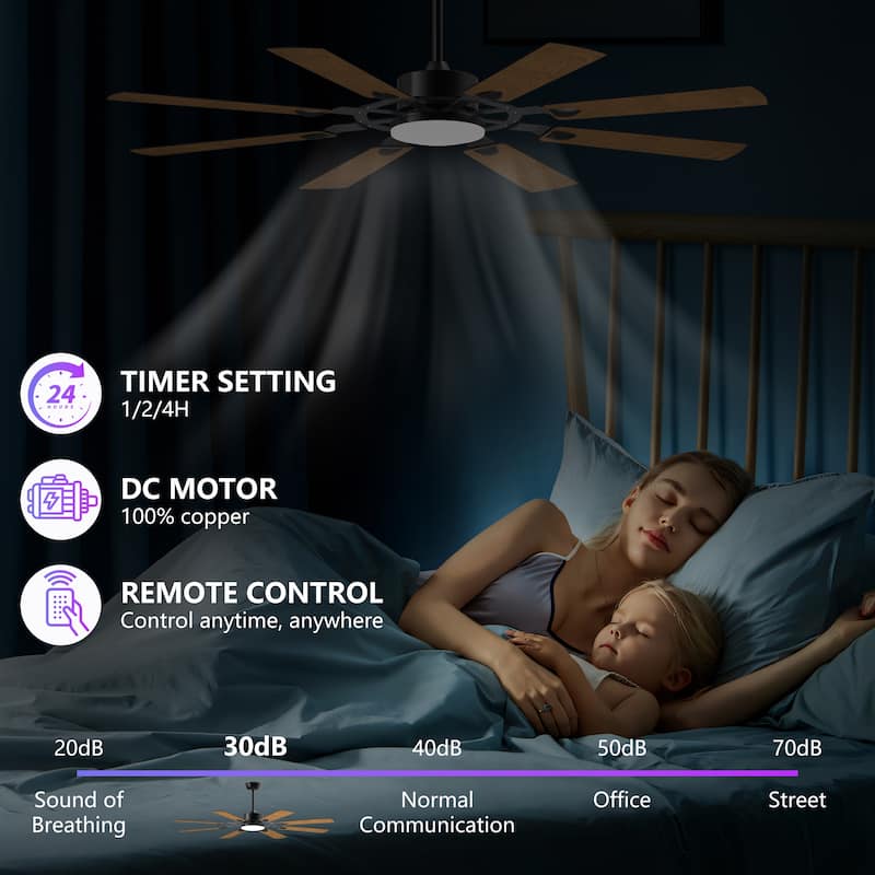 60 Inch Ceiling Fan with Lights and Remote Control