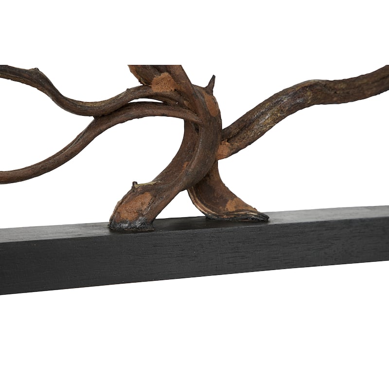 Teak Wood Tree Branch Wall Decor with Black Frame - Brown - Roche River Decor