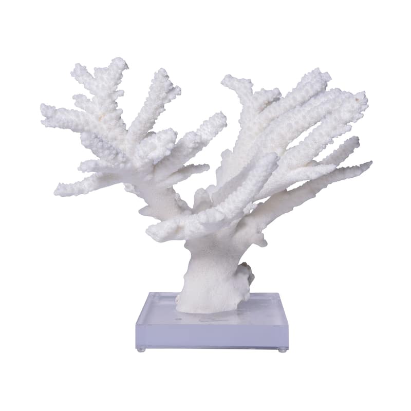 Branch Coral 12-15 Inch On Acrylic Base