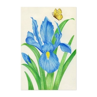 Blue Iris Flowers and Butterfly Illustrations Nature Art Print/Poster ...