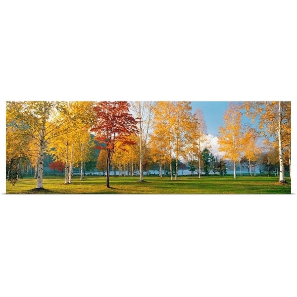 "Trees in autumn" Poster Print