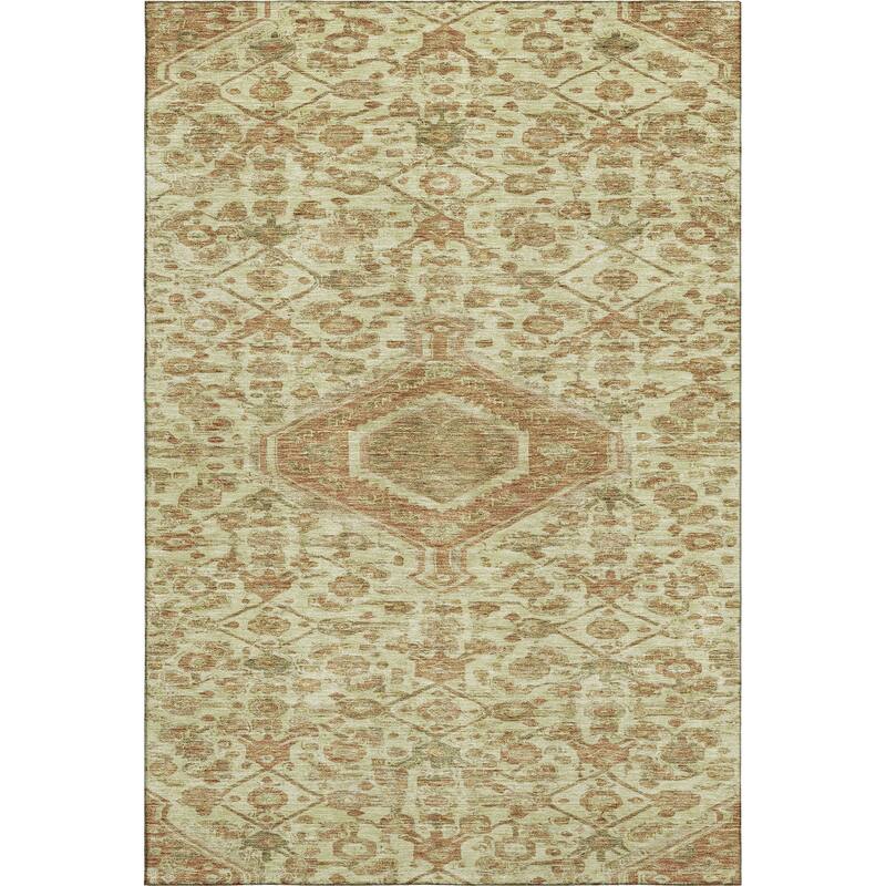 Premium Washable Super Soft Traditional Global Mayfield Rug
