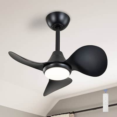 C Cattleya 24" 3 Blades DC Motor Dimmable Integrated LED Ceiling Fan with Remote Control
