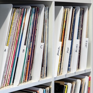 https://ak1.ostkcdn.com/images/products/is/images/direct/a1f1a3d6601acbbd17add5280215384acdbdec8e/Vinyl-Record-Dividers.jpg