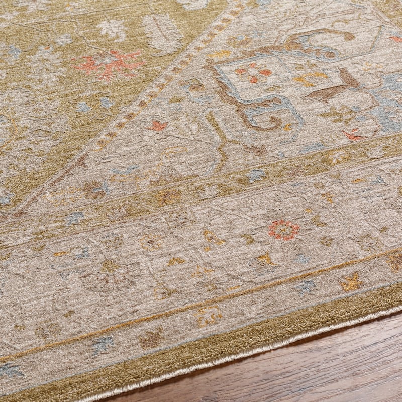 Livabliss Traditional Avant Garde Medallion Area Rug