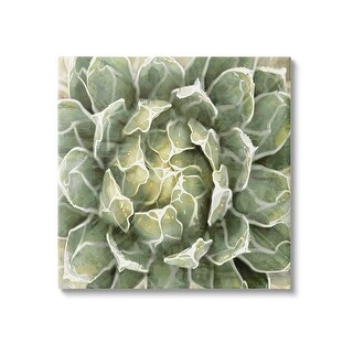 Stupell Green Botanical Plant Leaves Canvas Wall Art by Lindsay Benson ...