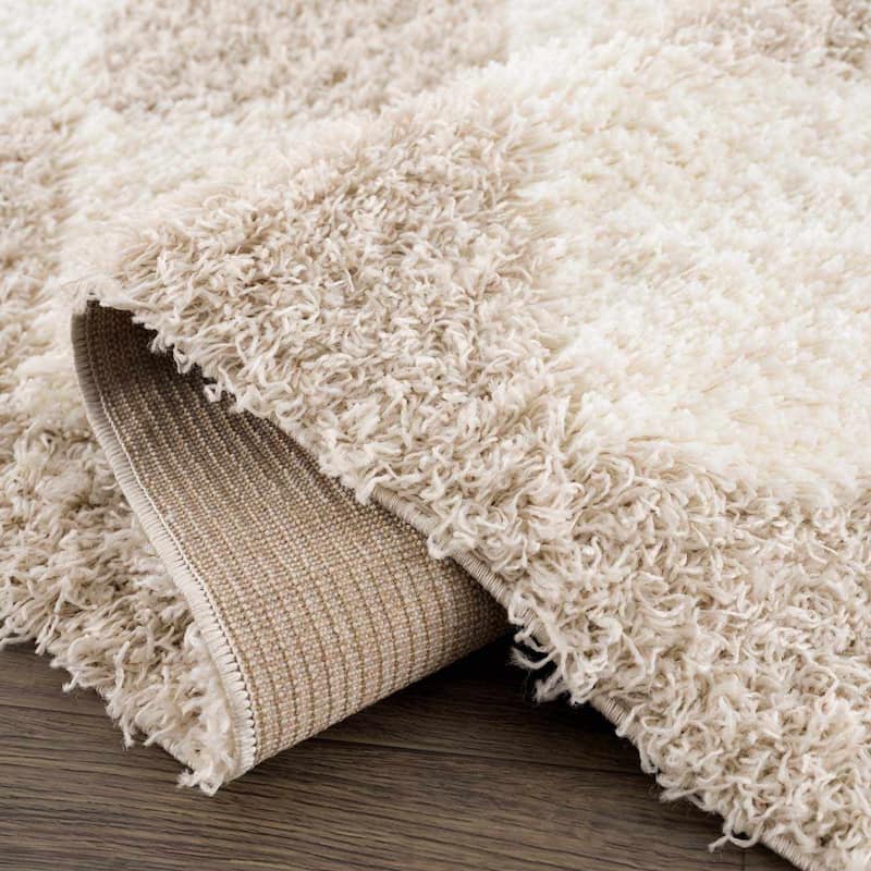 Hauteloom Zahur Living Room, Bedroom Area Rug - High Pile - Beige - 5'3" x 7'3"