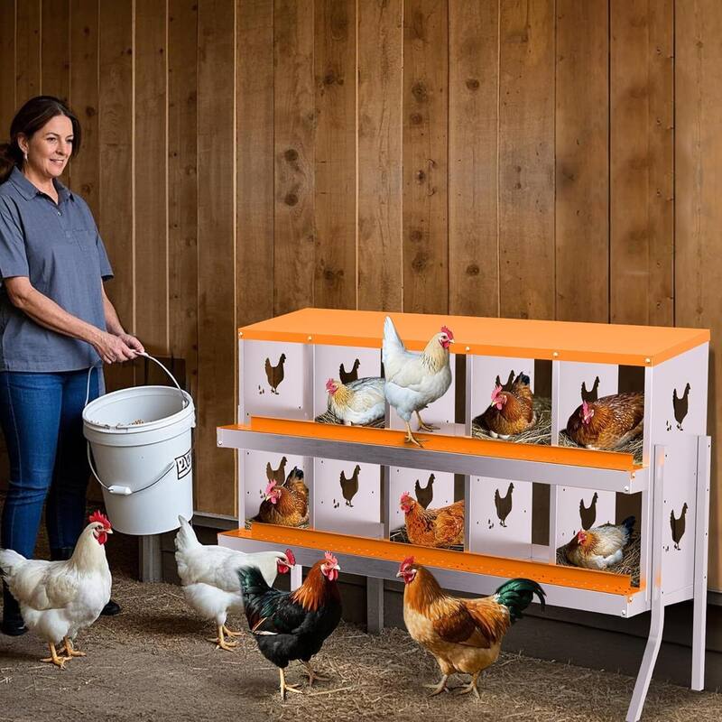 10 Compartment Metal Chicken Nesting Box, Laying Box for Hens Ducks Rabbits, Orange