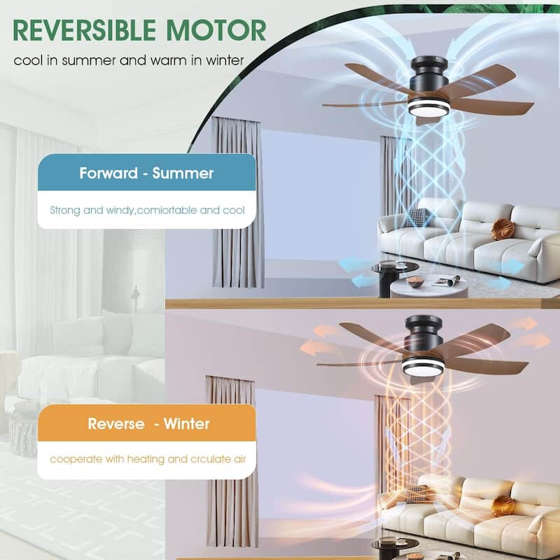 41'' Modern Indoor Ceiling Fan with Lights, Dimmable LED Light, 5 Reversible Blades (Brown) - 41 Inches