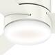 Hunter 44" Minimus Low Profile Ceiling Fan with LED Light, Handheld Remote