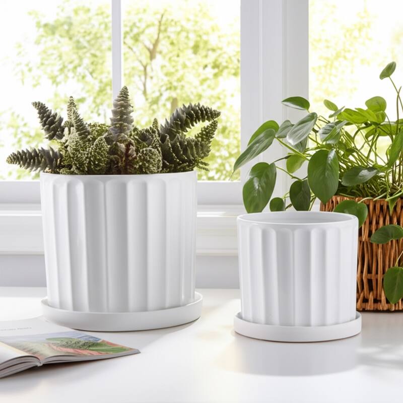 Ceramic Saucer Planters Ribbed Texture (Set of 2) - 10", 9" White - 12" x 12" x 10"