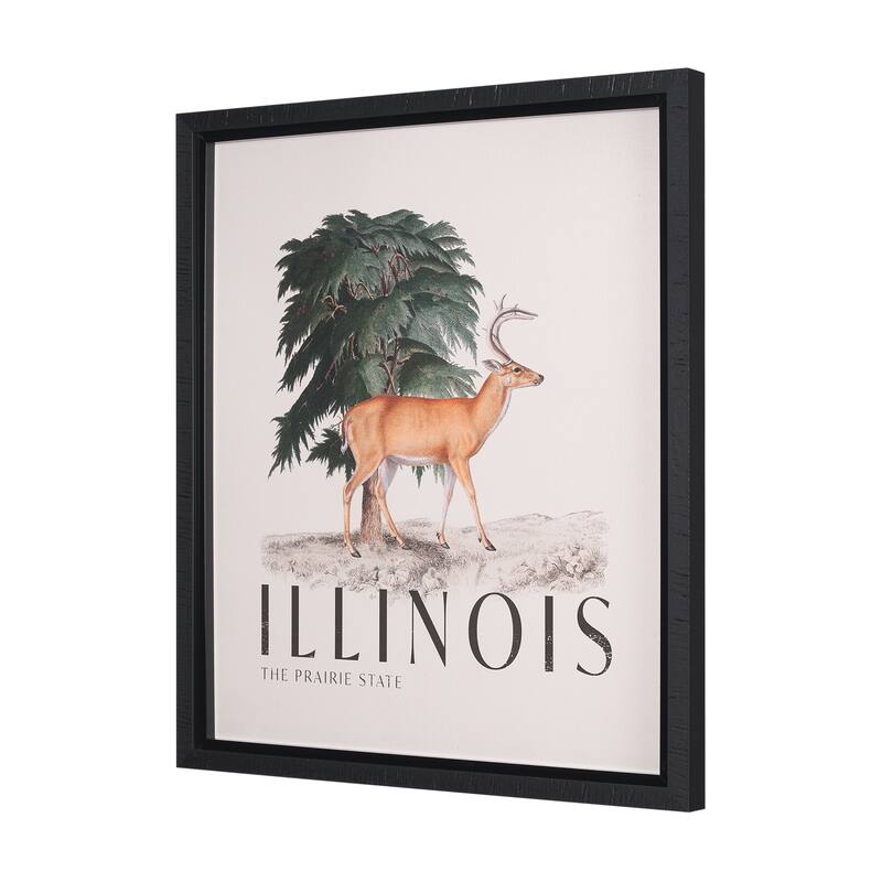 Travel Guide - Illinois