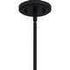 preview thumbnail 5 of 6, Maple 4-Light Earth Black Pendant Light