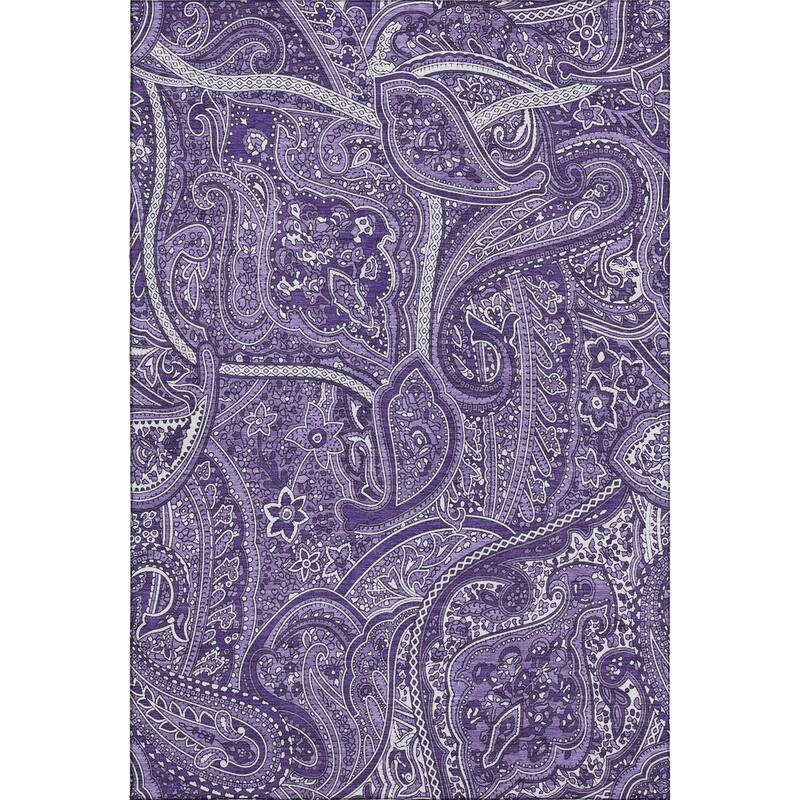 Premium Washable Super Soft Traditional Paisley Mayfield Rug