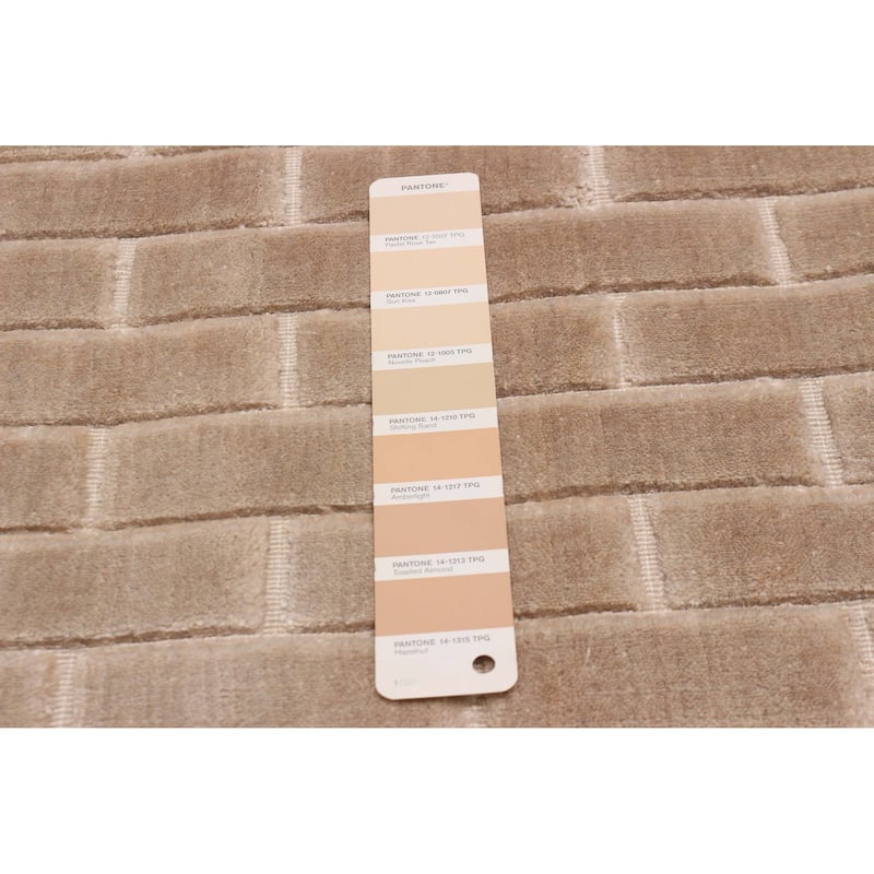 ECARPETGALLERY Hand Loomed Kashkuli Gabbeh Beige Viscose Rug - 5'6 x 7'9