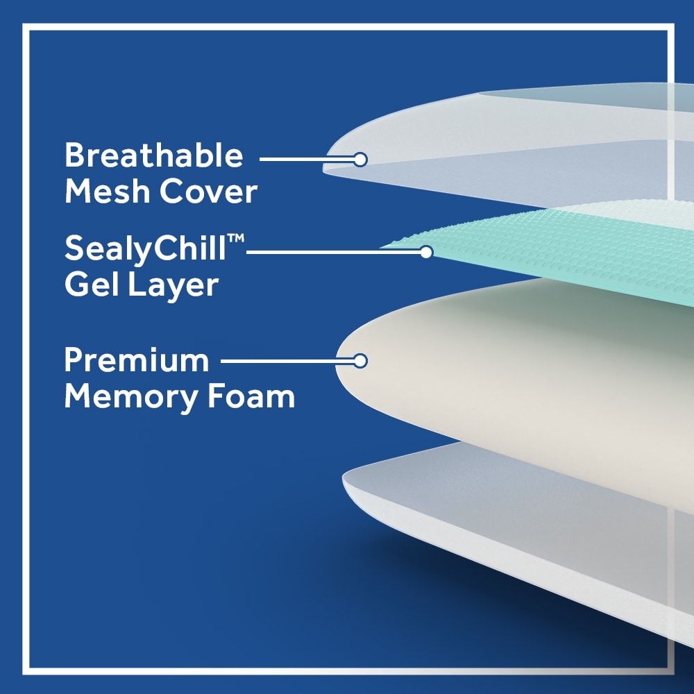 https://ak1.ostkcdn.com/images/products/is/images/direct/a1ff1e0524334fd37292234e9b0faef978a8cfc1/Sealy-Essentials-Cooling-Gel-Memory-Foam-Pillow.jpg