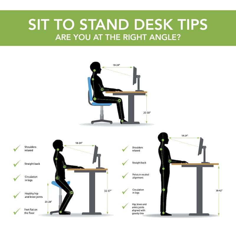 Energize 55W x 24D Height Adjustable Standing Desk by Bush Furniture