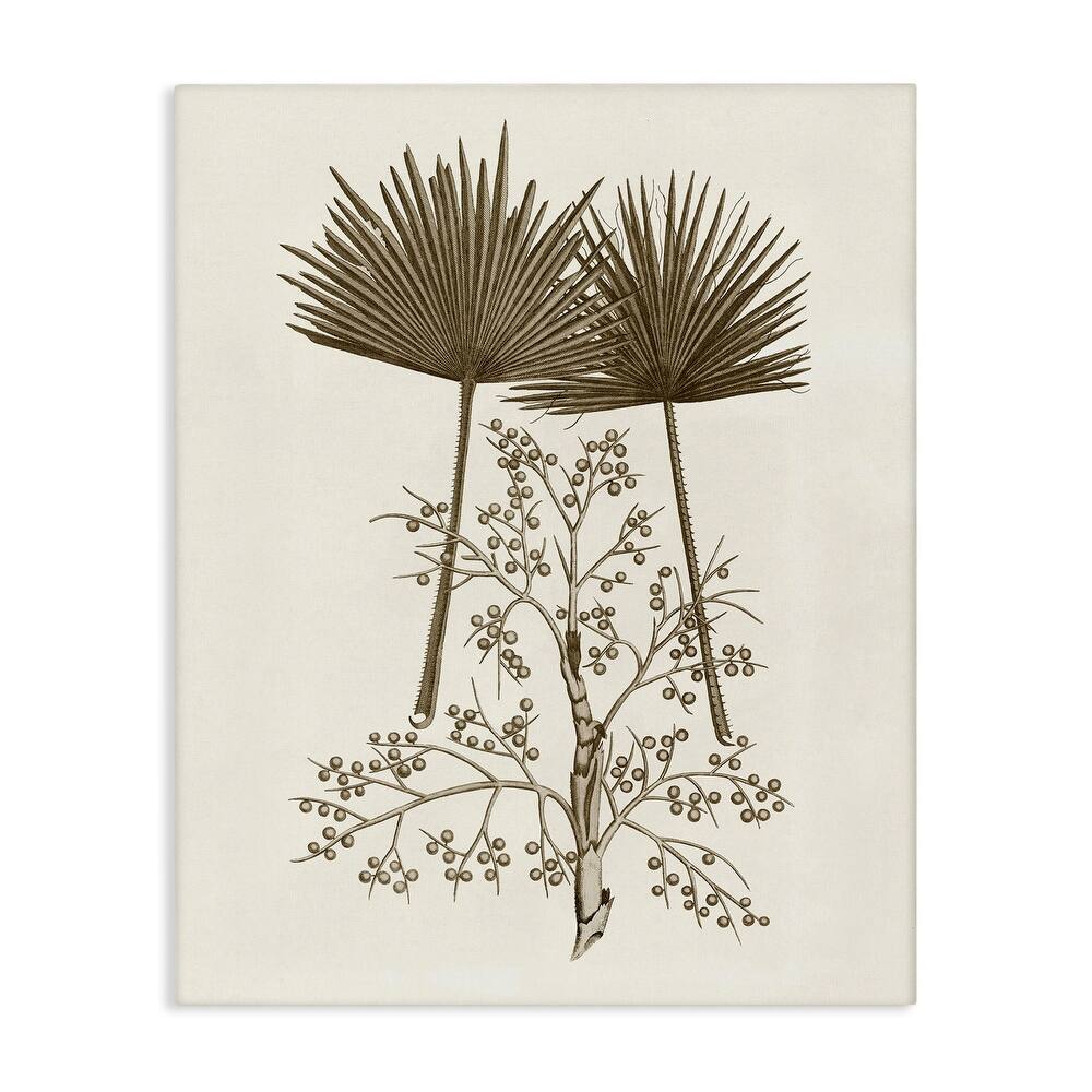 Stupell Palm Leaf & Olive Branches Canvas Wall Art Design By Phillipa Katz