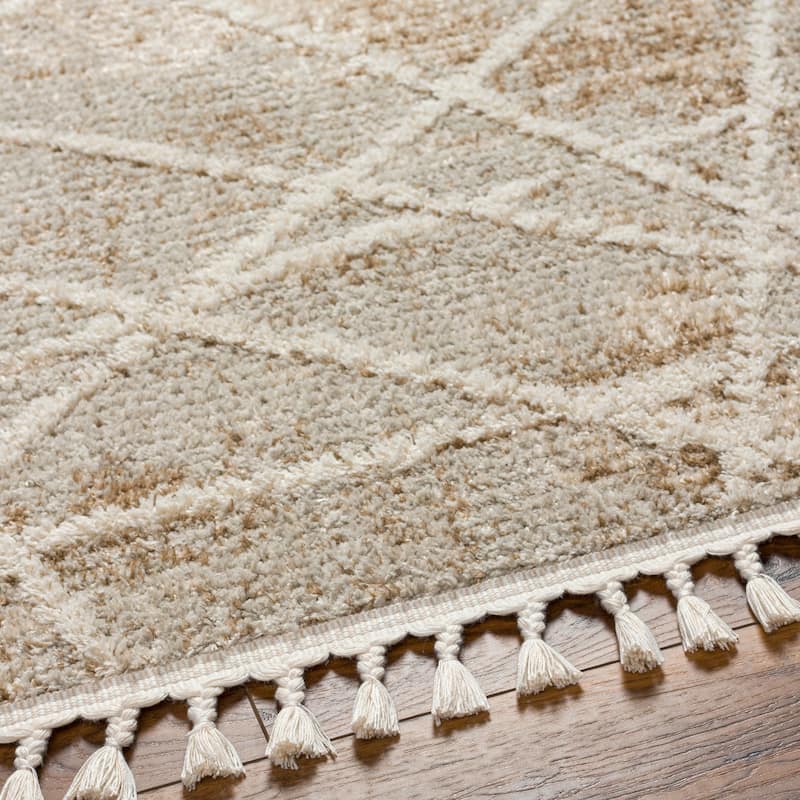 Adelyn Modern & Contemporary Area Rug
