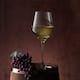 Wine Glasses