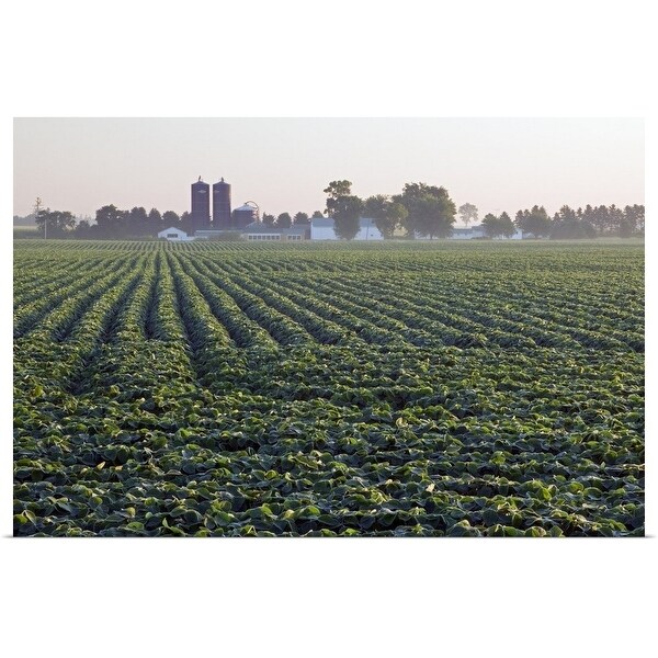"Soy bean field, distant farm buildings, Iowa" Poster Print