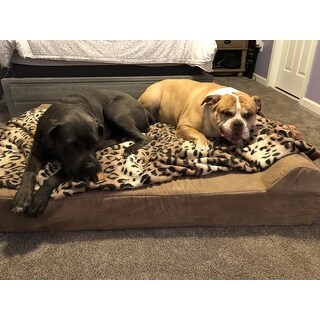 Shop Big Barker 7-inch Pillowtop Orthopedic Dog Bed ...