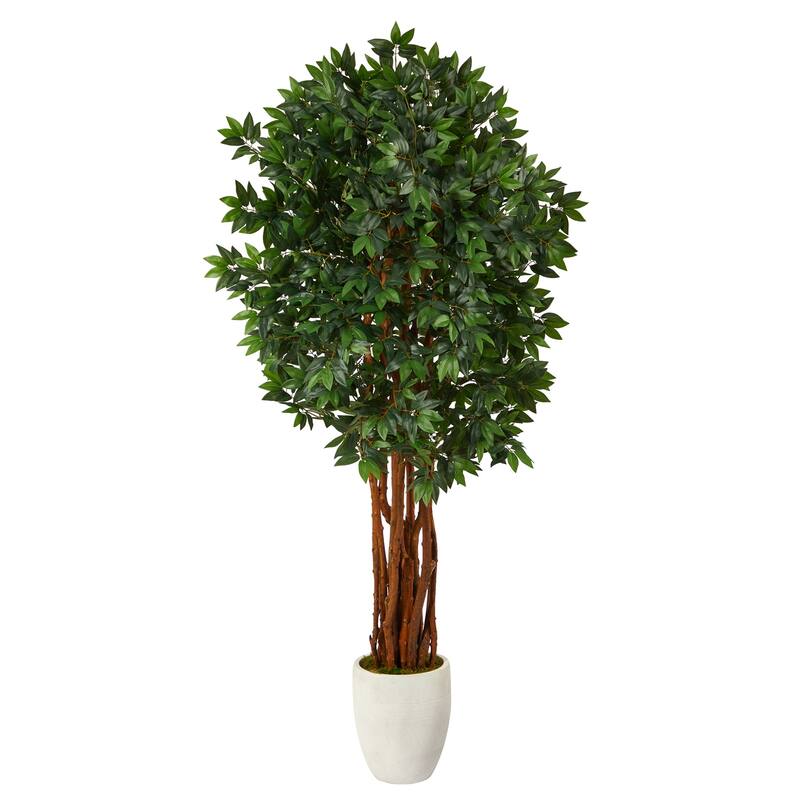 Artificial Lychee Tree 6ft Southwestern Decor White Planter Indoor Outdoor Plant - Green - 61 Inches and Over