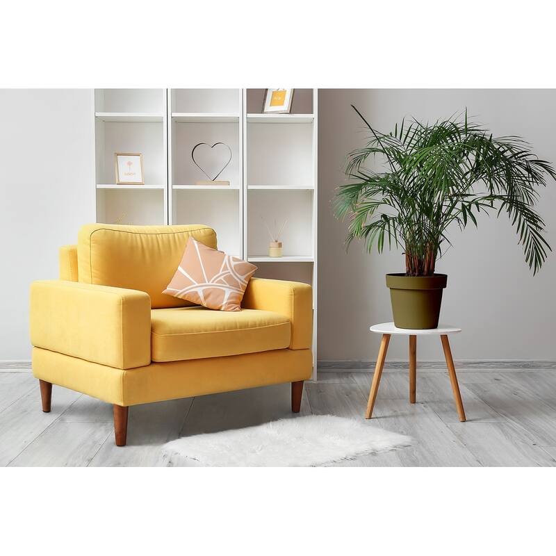 Fruit Wedges Decorative Throw Pillow