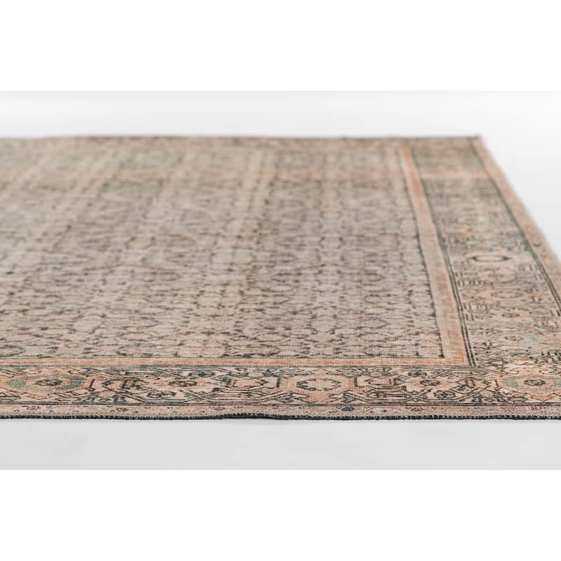 Momeni Ariana Traditional Oriental Polyester Area Rug