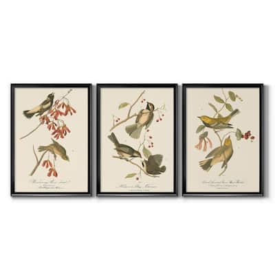 Wandering Rice Bird Premium Framed Canvas - Ready to Hang - Multi-Color
