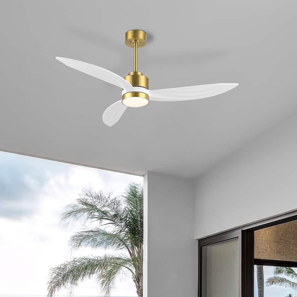 WINGBO 52-inch 3-Blades Indoor Celiing Fan with LED Light & Remote - N/A