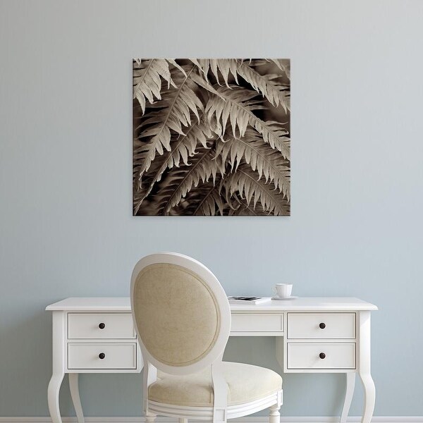 Easy Art Prints Alan Blaustein's 'Florison #51' Premium Canvas Art