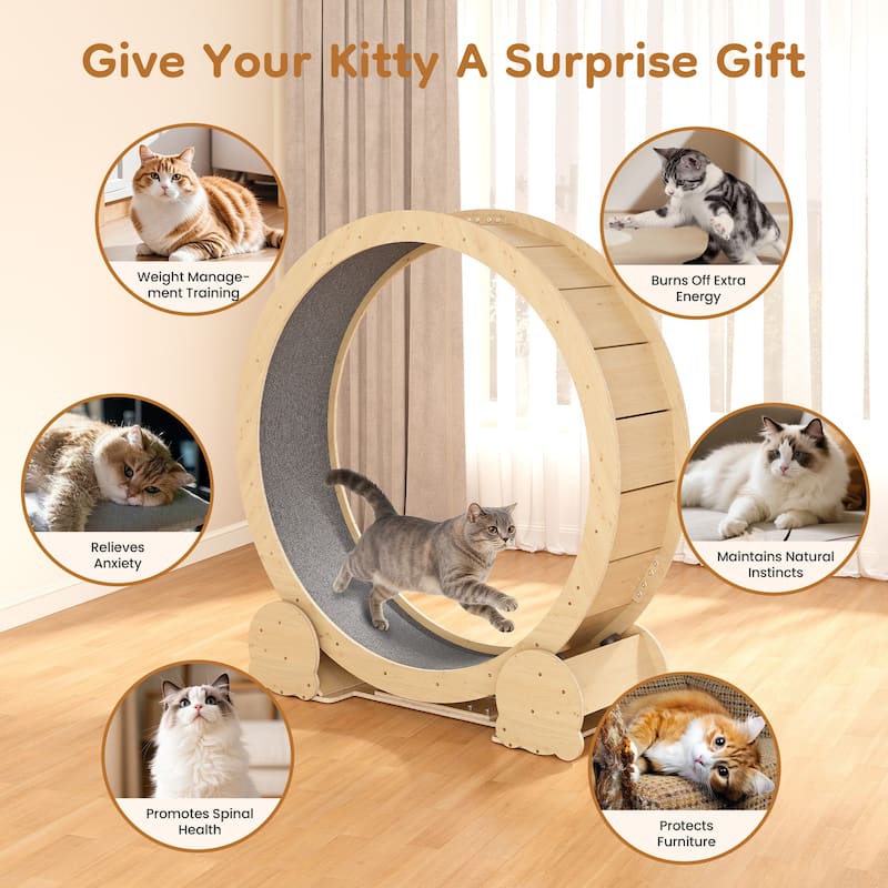 Cat Exercise Wheel - 46" Running Treadmill for Indoor Cats