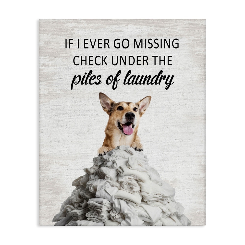 Stupell Piles Of Laundry Dog Canvas Wall Art Design By Lettered and Lined