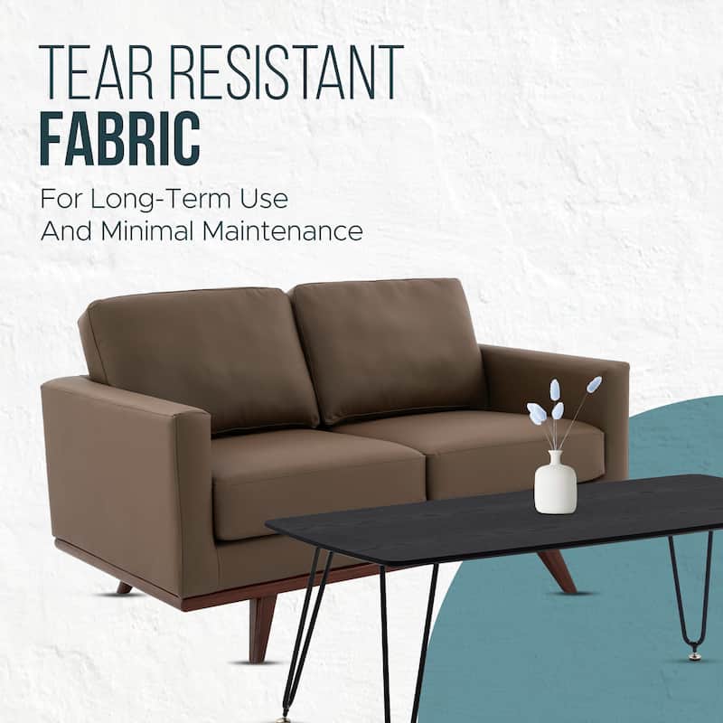 Chester Modern Loveseat 2 Seater Sofa Couch in Leather or Mesh Upholstery With Birch Wood Base for Living Room Bedroom Office