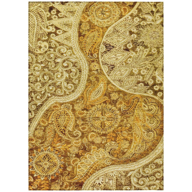 Machine Washable Indoor/ Outdoor Modern Paisley Chantille Rug