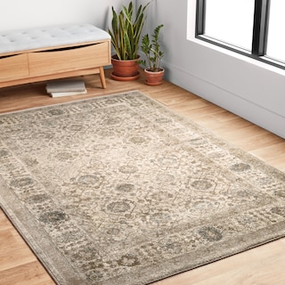 Alexander Home Kendrick Traditional Oriental Area Rug