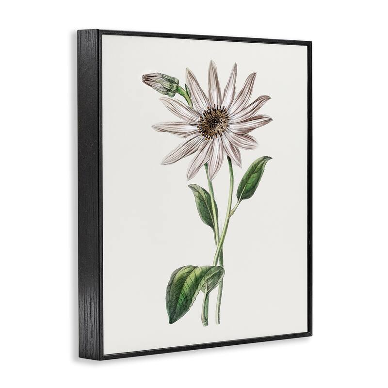 Stupell Vintage Mum Sprig Framed Giclee Art Design By CAD Designs