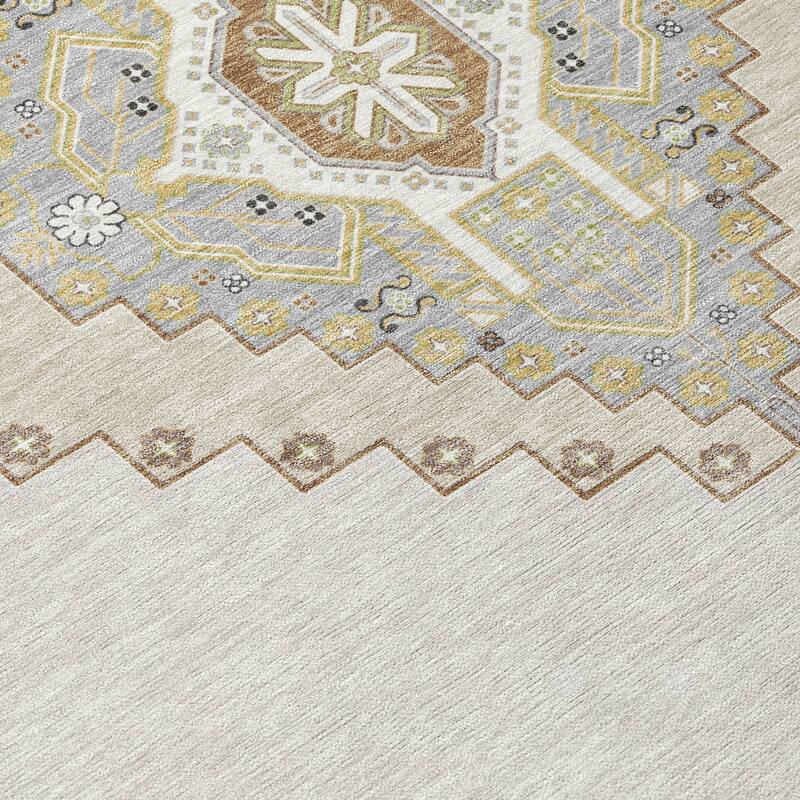 Machine Washable Indoor/ Outdoor Boho Traditional Chantille Rug