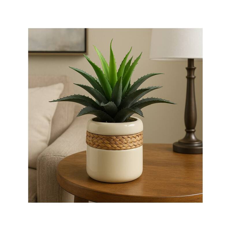 HomeStock Star Succulent in Round Ceramic Planter - Stylish Mini Faux Plant for Desks and Shelves - 14