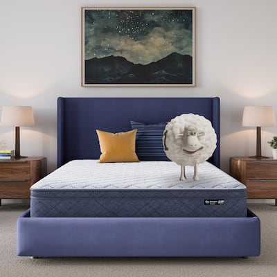 Serta Five Star Mattress Sleep to Go 10" Plush Pillow Top Mattress in a Box