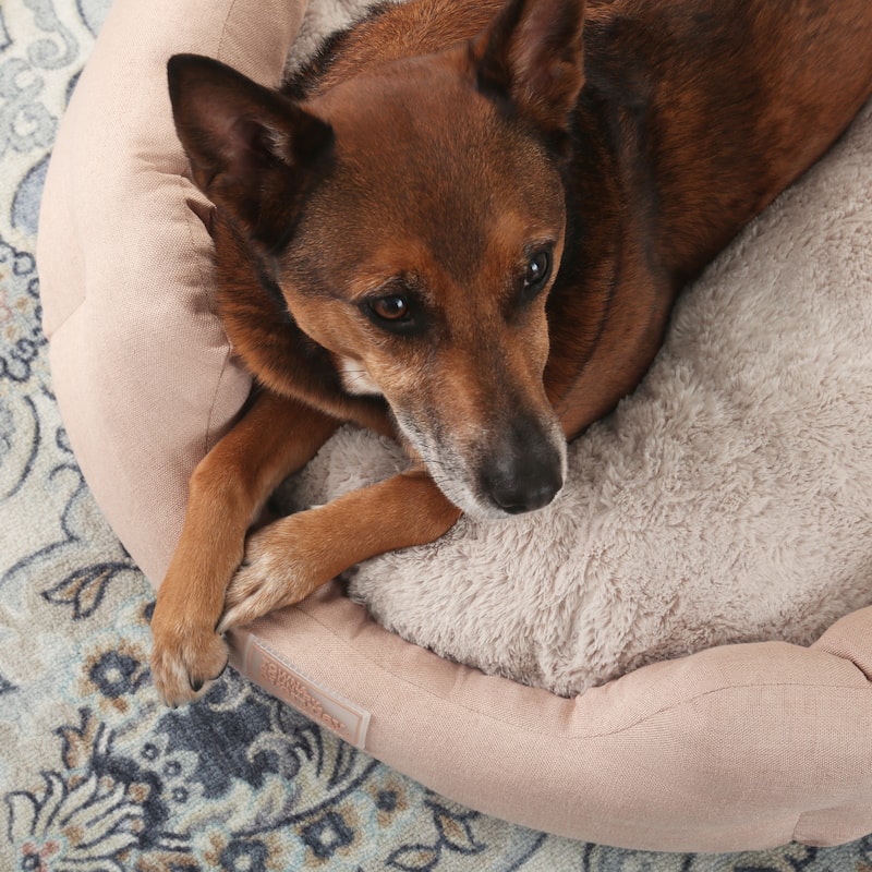 TOWN & COUNTRY EVERYDAY CuddleTown Faux Linen Comfy Cozy Cuddler Pet Bed