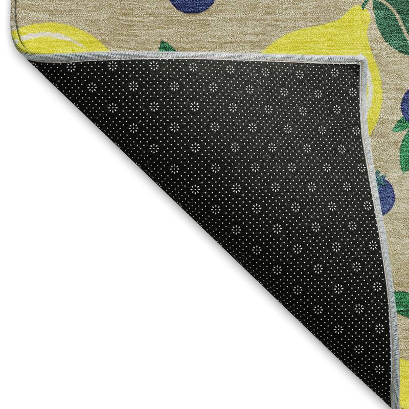 Machine Washable Indoor/ Outdoor Citrus Berry Chantille Rug