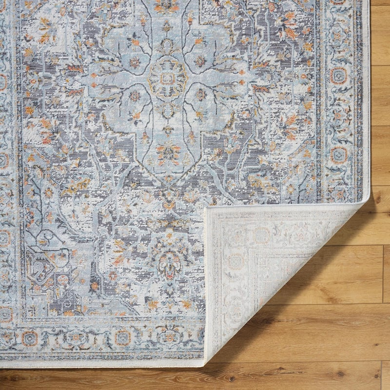 Livabliss Hassler Traditional Medallion Area Rug