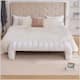 Option Ivory