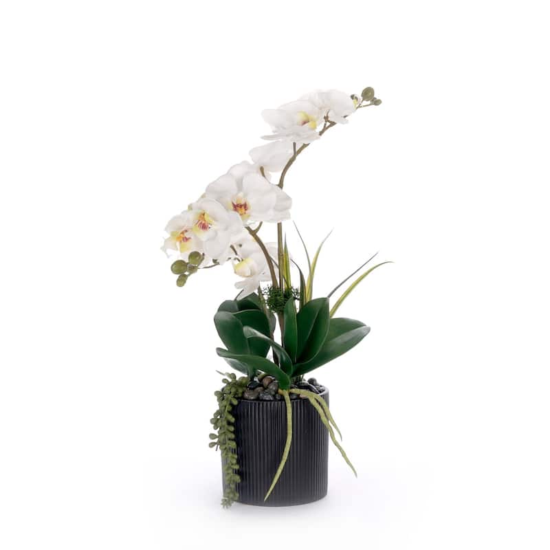 Real Touch White Orchid Flower Arrangement in Black Pot