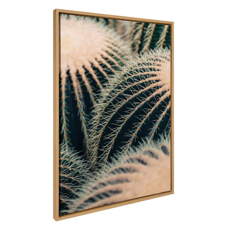 Kate and Laurel Sylvie Barrel Cactus Framed Canvas by Alicia Bock - 28x38 - Natural