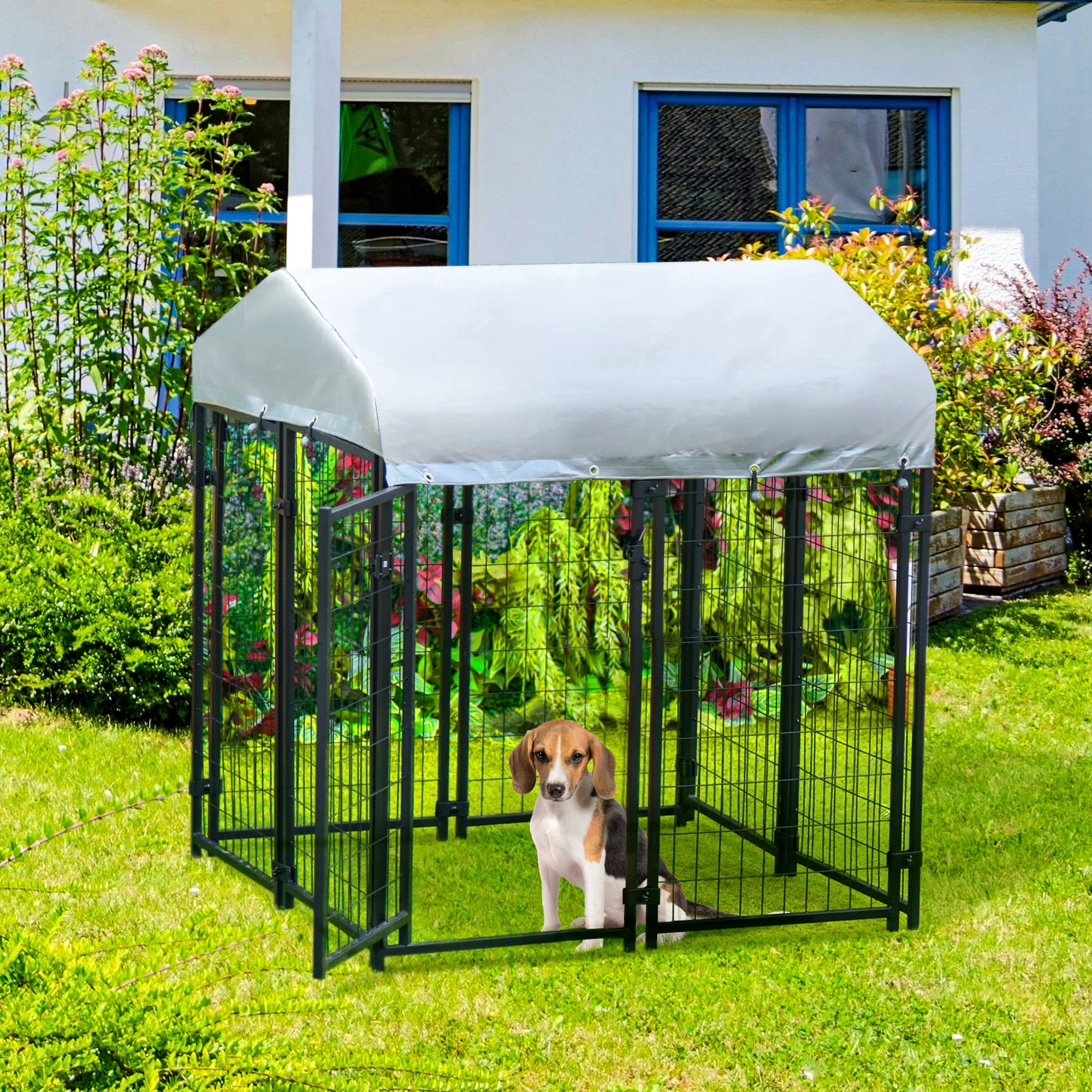Steel dog best sale kennel