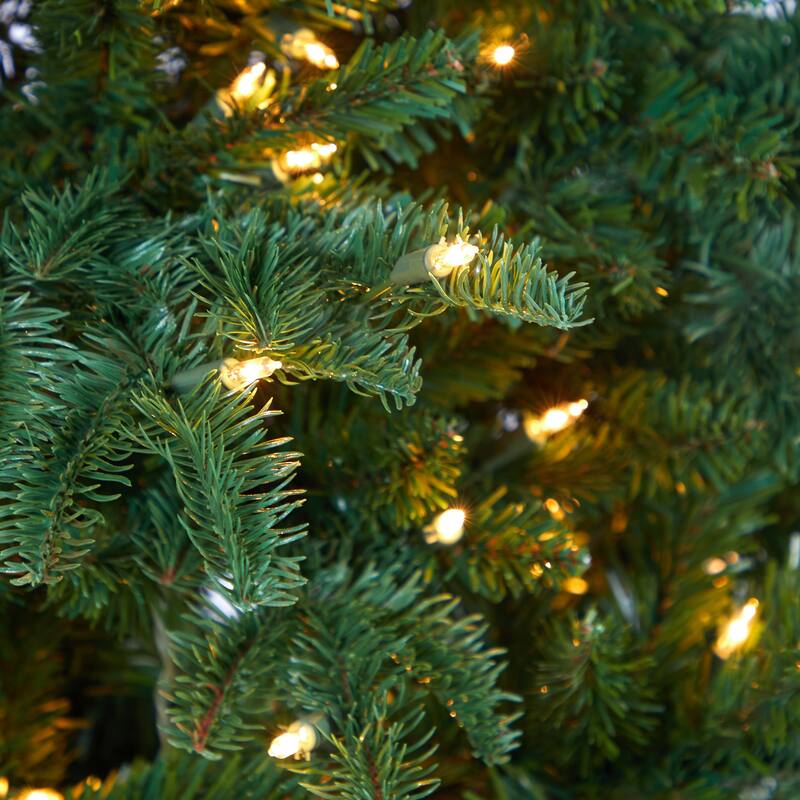 5' Pre-Lit South Carolina Spruce Artificial Christmas Tree, Clear LED Lights - 5 Foot