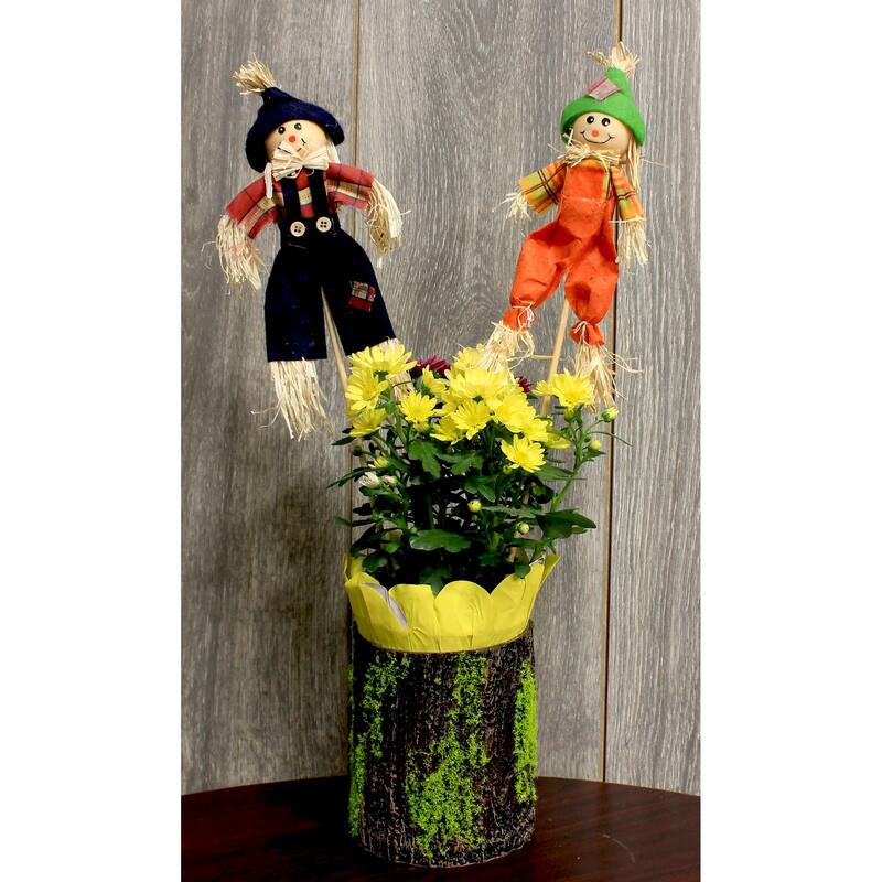 9" Scarecrow on 7" Pick, Set of 6